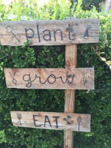 plant-grow-eat-sign